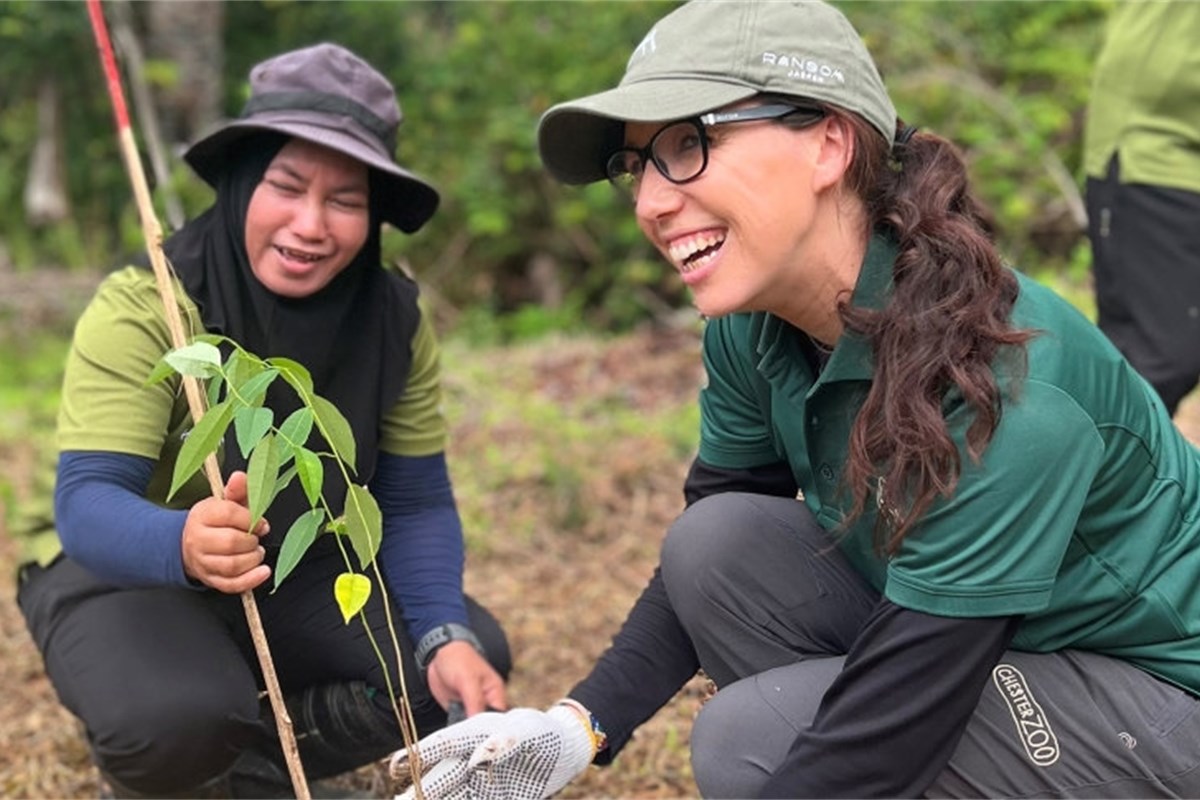 The Role of Sustainable Palm Oil in Dairy Production