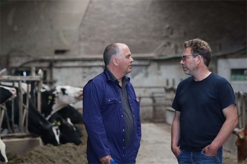 SUPPORTING HIGH YIELDS BY UNDERSTANDING MYCOTOXIN RISK