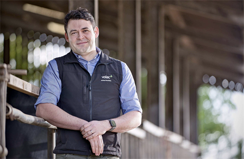 Be aware of changing mycotoxin risk following hot, dry summer