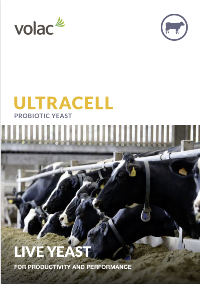 UltraCell brochure cover